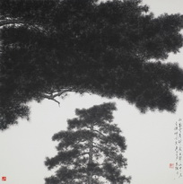 Pines of Mt Huang IX, 黄山松九