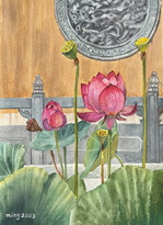 Lotus in Temple