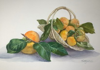 Persimmons in a Basket