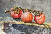 Three Persimmons