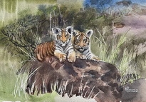 Two Tigers